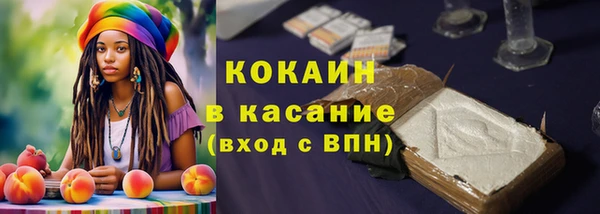 крисы Гусев