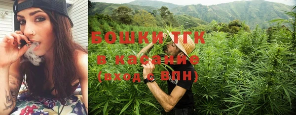 крисы Гусев