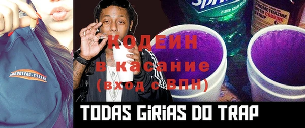 крисы Гусев