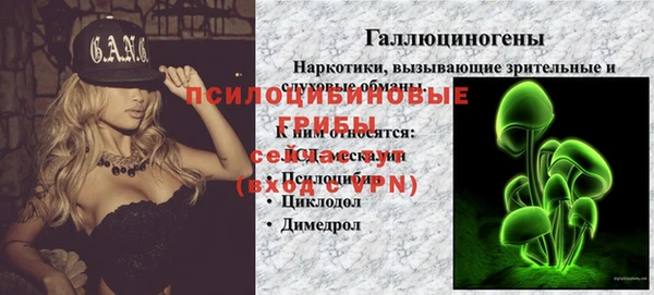 крисы Гусев