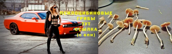мяу мяу кристалл Гусь-Хрустальный